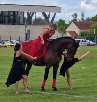 16 mai 2026_Fête jumelage Milly la forêt - Morsbach